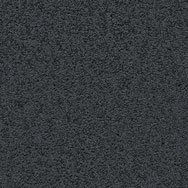 Signature Scarlet Zenobia 699